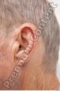 Ear texture of street references 397 0001